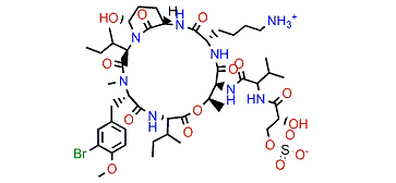 Jizanpeptin A